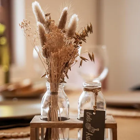 Appartamento Les De Juliane - Calme & En Altitude - Alsace *