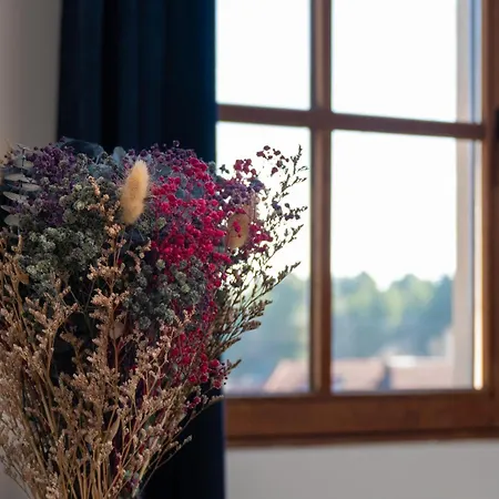 Les De Juliane - Calme & En Altitude - Alsace * Aubure